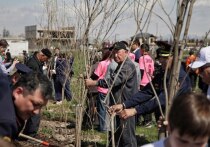 В городе Манас (Джалал-Абадская область) дали старт международной акции «Сад памяти»