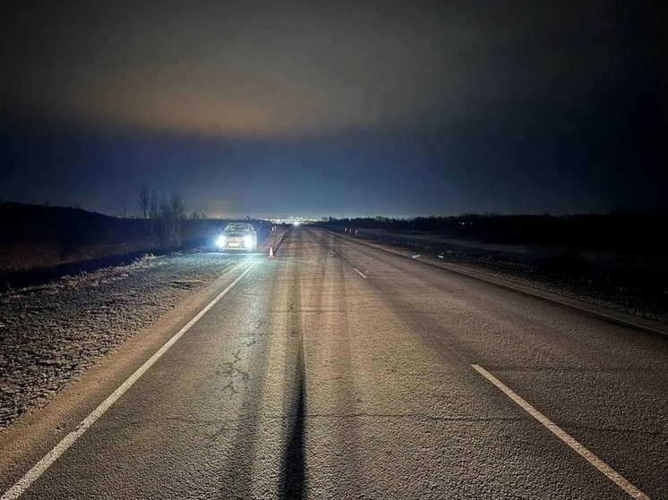 Полночь, трасса Казань — Оренбург: полиция выясняет обстоятельства наезда на пешехода в Оренбургском районе