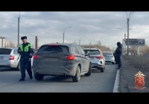 В пятницу, 27 марта, сотрудники полиции и Росгвардии устроили проверку на площади Победы и Митрофаньевском шоссе. Рейд был посвящен миграционному контролю и соблюдению правил дорожного движения, сообщили в ГУ МВД по Петербургу и Ленобласти.