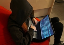 Сегодня, 30 марта, Колпинский районный суд огласил приговор в отношении телефонного мошенника, участвовавшего в масштабной преступной группе. Мужчину признали виновным в 55 преступлениях, сообщает объединенная пресс-служба судов Петербурга.