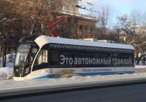 Перевести к 2035 году весь городской общественный транспорт Москвы на электроэнергию планируют столичные власти