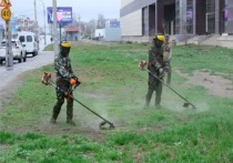 В Астрахани с приходом тепла стартовали масштабные работы по покосу сорной и камышовой растительности