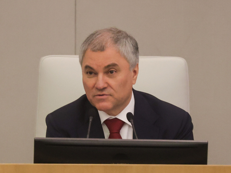 Володин перечислил факторы, из-за которых ЕС ждёт кризис