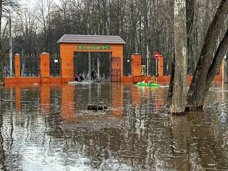 В Лесопарке Рязани подтопило центральную аллею