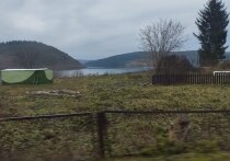 В Свердловской области уже зарегистрировано 238 пострадавших от присасывания клещей