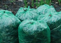 В Пензенской области объявили закупку на разработку проектной документации для строительства подъездной дороги к мусороперерабатывающему заводу и полигону. Стоимость работ оценивается более чем в 9,3 млн рублей.