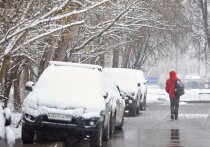 С 8 по 12 апреля в Московском регионе будут заморозки вместе с мощными (и мокрыми) снегопадами, предупредили синоптики
