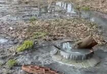 Жители Одинцовского городского округа забили тревогу: в элитном поселке Барвиха зафиксирована серьезная авария на канализационных сетях