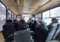 Социально-значимый маршрут будет курсировать ежедневно