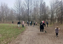 В ходе уборки города было собрано и вывезено порядка 340 кубометров мусора