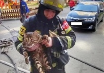 В Кургане, на третьем этаже девятиэтажного дома, расположенного на улице Советской, произошел пожар
