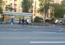 В Приморском районе Северной столицы на Плесецкой улице торговый павильон установили прямо посередине велосипедной дорожки. Как выяснил 78.ru, объект появился за одну ночь, а монтаж занял всего полчаса.