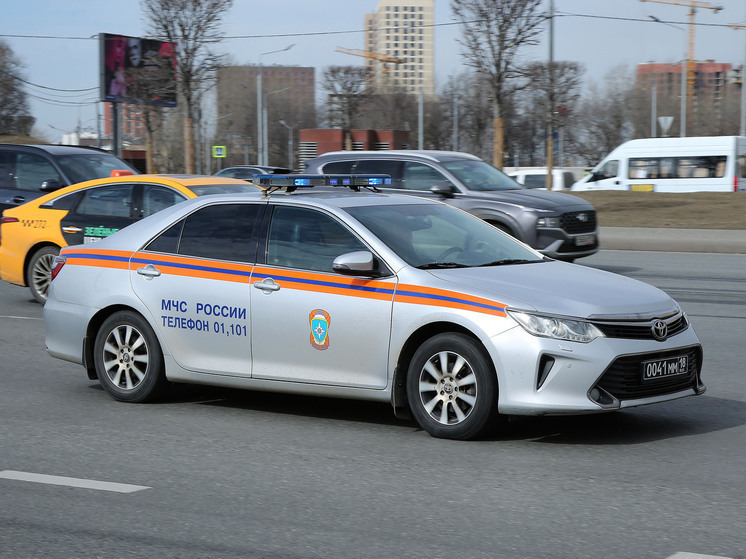 В Новом Москве сгорел дом владельца художественной мастерской: есть погибший