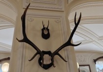 Минприроды Мурманской области объявило сроки весенней охоты