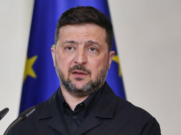Диесен осудил слова Зеленского и Мерца о возвращении украинцев из Германии