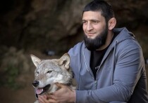 Вчера стало известно, что чемпион UFC подписал контракт с борцовским промоушеном