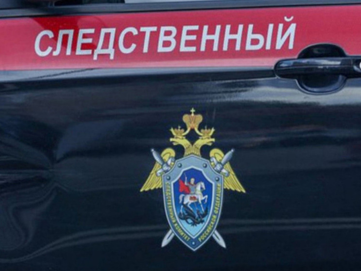 Воспитатель детского сада стала фигуранткой уголовного дела за истязания малышей
