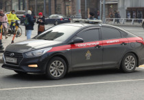 Причиной смерти новорожденной девочки, обнаруженной накануне в поселке Большевик (Серпуховский городской округ), стали ножевые ранения