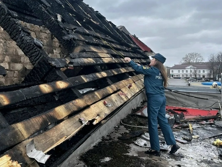 В Кировской области спасатели эвакуировали зоомагазин из-за пожара в ТЦ
