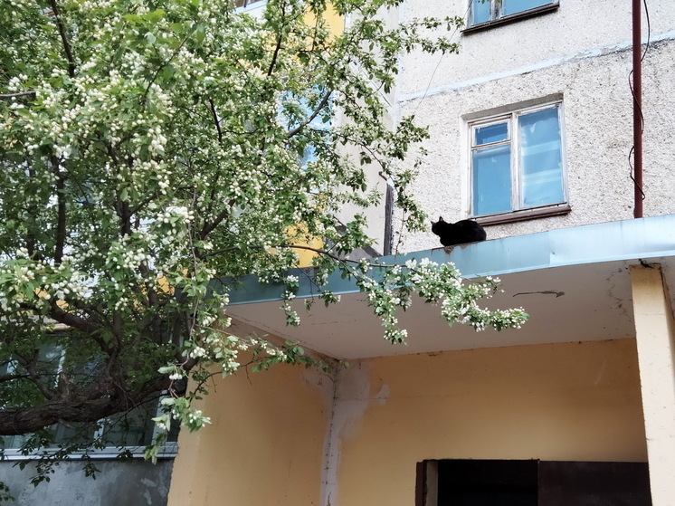 Майские праздники удивят даже бывалых: стала известна погода на Первомай в Центральной России
