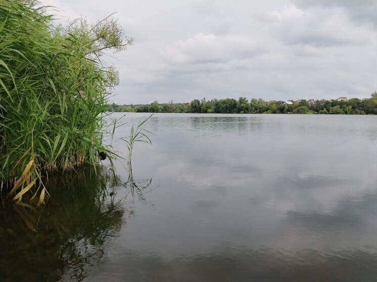 Волонтеры убрали берег реки Нежеголь в Белгородской области