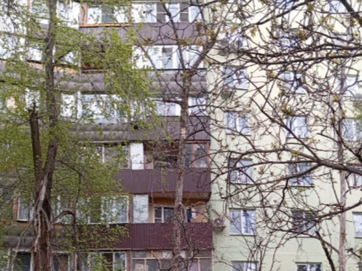 В Ростове-на-Дону несколько сухих деревьев опасно нависают над тротуарами