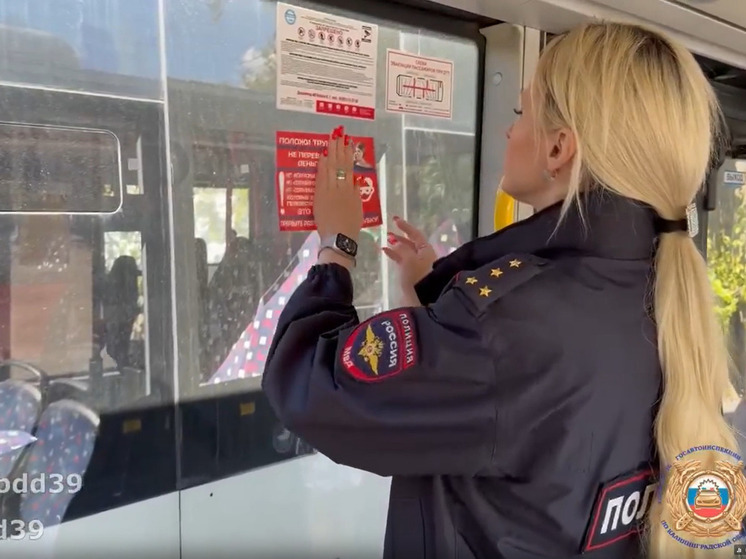 ГАИ провела в Калининграде профилактическую акцию против мошенников