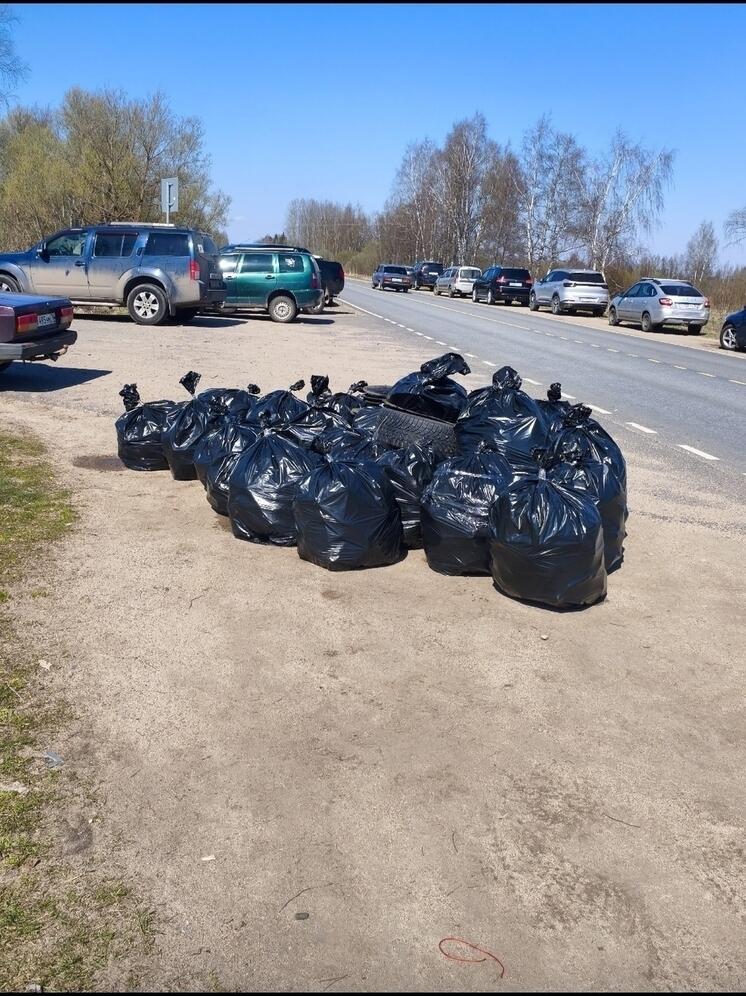 Ярославцы навели порядок в районе дамбы реки Векса