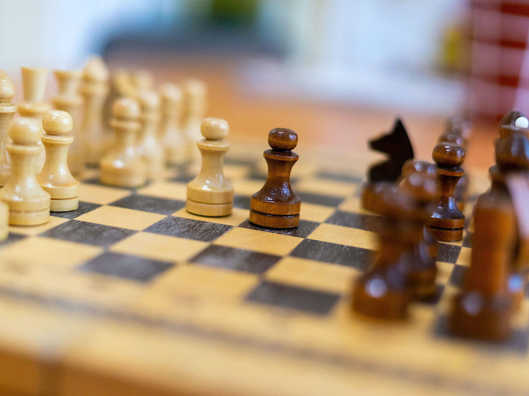 Челябинцы завоевали три золотые медали на чемпионате Европы по шахбоксу