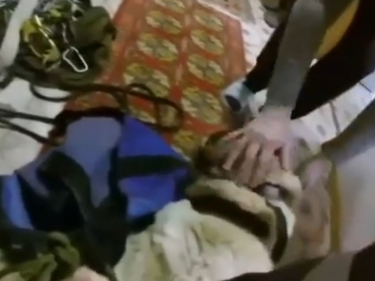 В Сергиево-Посадском округе пёс провалился в погреб и застрял