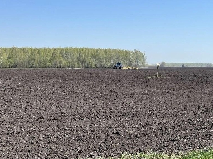 Губернатор дал оценку посевным работам в Болховском районе