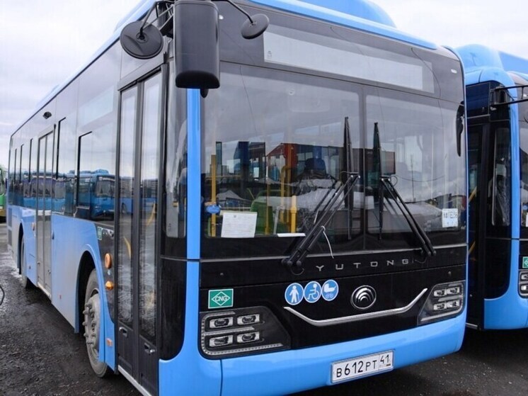 На Камчатку прибыли новые автобусы