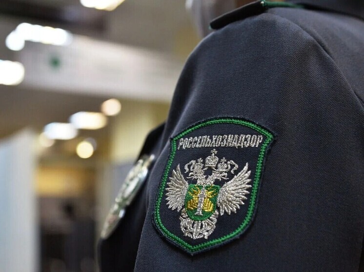 10,3 тонны коллагена отправили на хранение без права продажи