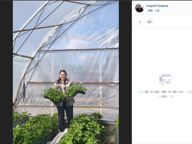 Соцконтракт помог белгородке заняться выращиванием клубники