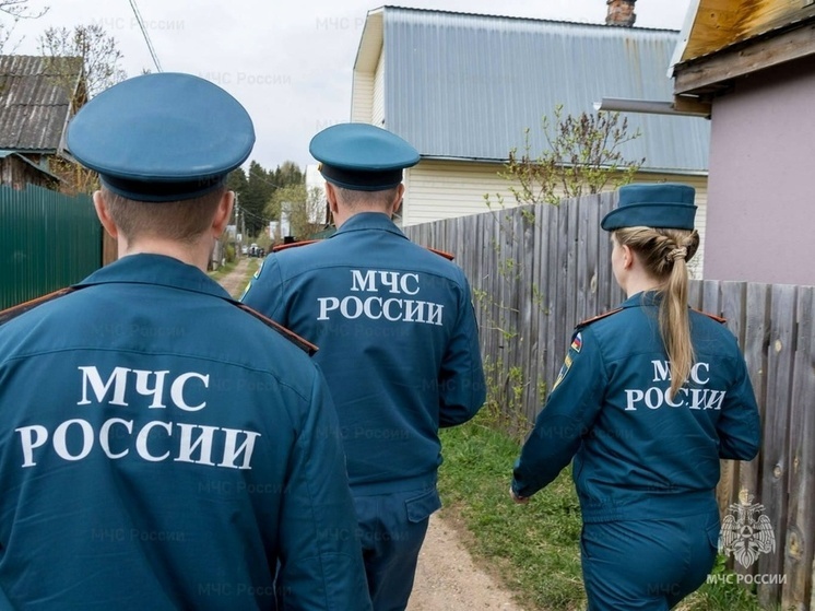 Кировчан предупредили о крупных штрафах за разведение костров