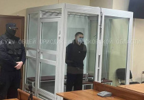 На процессе над «балашихинским отравителем» Артемом Миссюрой, добавлявшим яд в еду своим родственникам и знакомым, выступил государственный обвинитель