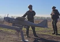 Российская армия, похоже, изящно решила проблему украинских беспилотников, которые, используя воздушное пространство Польши и Прибалтики, атакуют наши северные рубежи