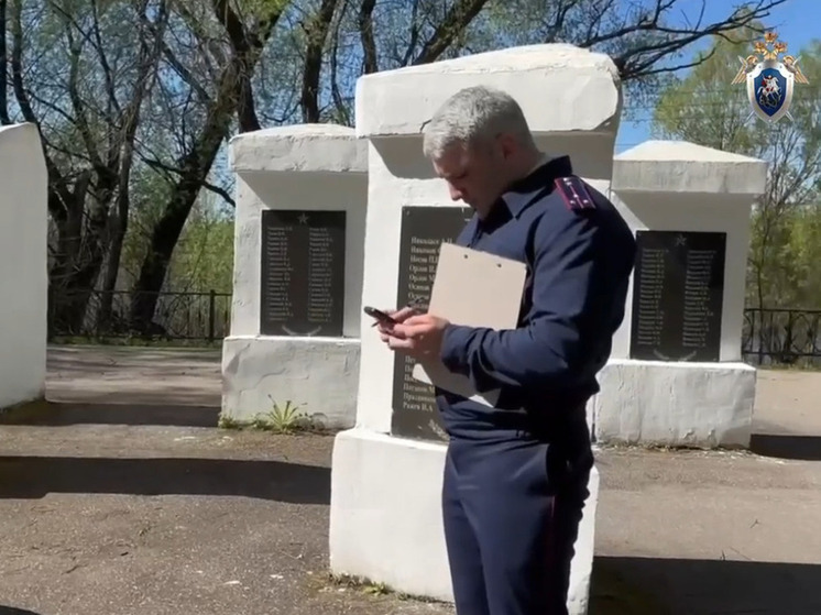 В Новгородском округе пьяная женщина осквернила воинское захоронение