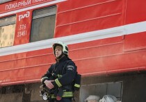 Поджог кабины машиниста электропоезда был совершен в ночь на четверг в Щелковском городском округе Подмосковья