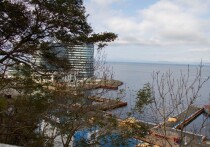 Многодетные семьи в Приморском крае получают десятки видов помощи: от компенсации коммунальных платежей до бесплатных лекарств и земельных участков