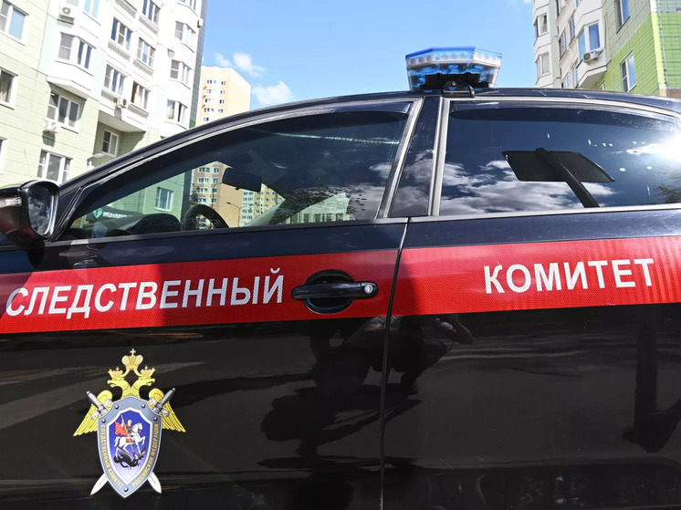 СК РФ расследует смертельную атаку ВСУ на Алешки