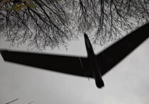 Литовские лидеры поспешили укрыться в бункерах, поскольку запущенный их киевскими союзниками беспилотник нарушил воздушное пространство лимитрофной страны