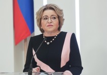 Совет Федерации 20 мая проголосовал за закон, который разрешает использование Вооруженных сил РФ за пределами страны для защиты российских граждан в случае их ареста, уголовного или другого преследования