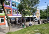 Взрыв петарды произошел в четверг днем в школе на юге Москвы