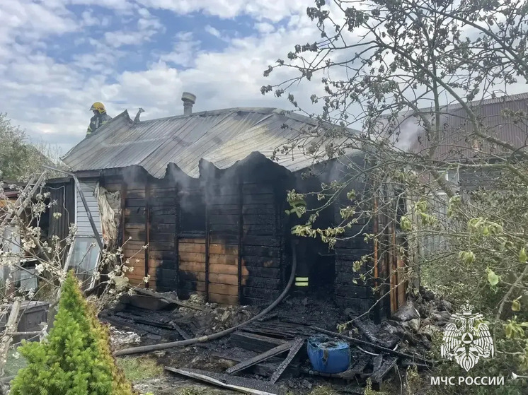Во Всеволожском районе пожарные потушили одноэтажную рубленую баню