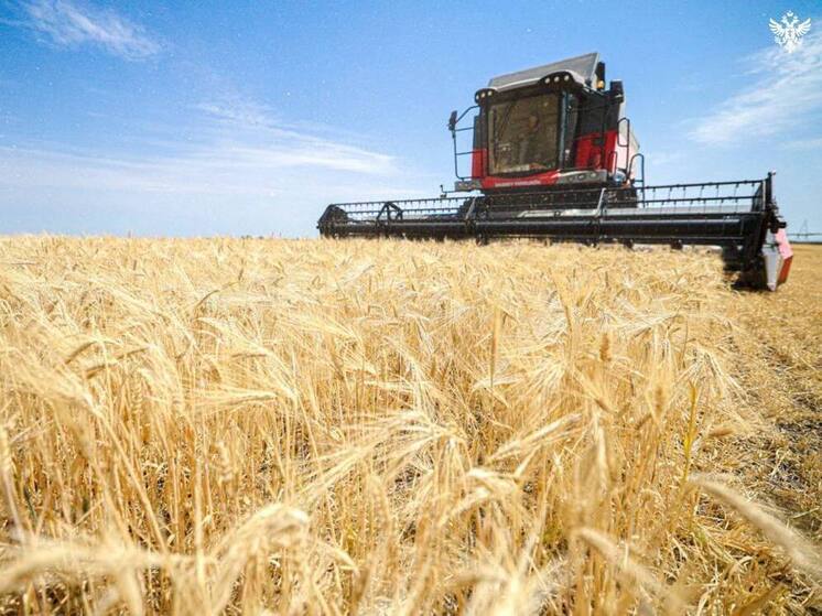 Уборка зерновых в Херсонской области начнётся во второй половине июня