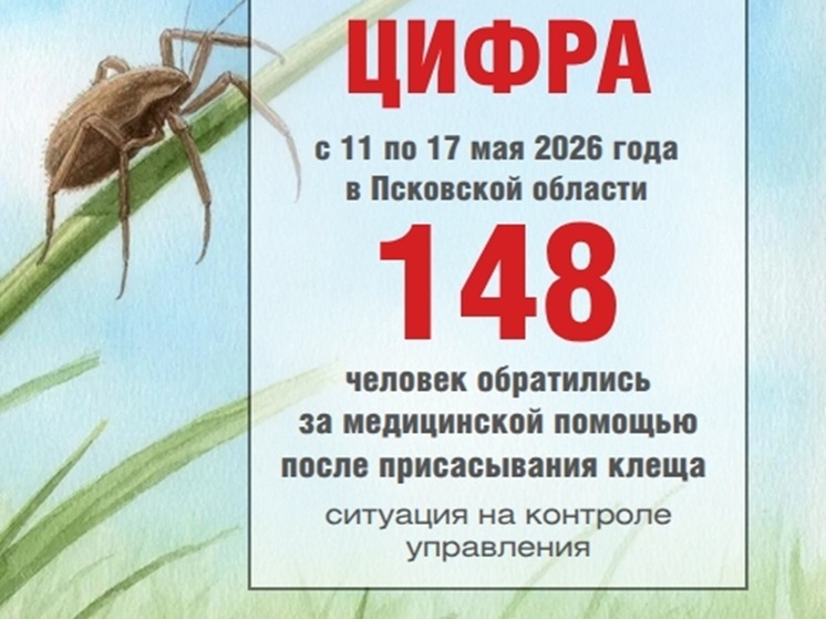 С начала сезона от клещей в Псковской области пострадали 516 человек