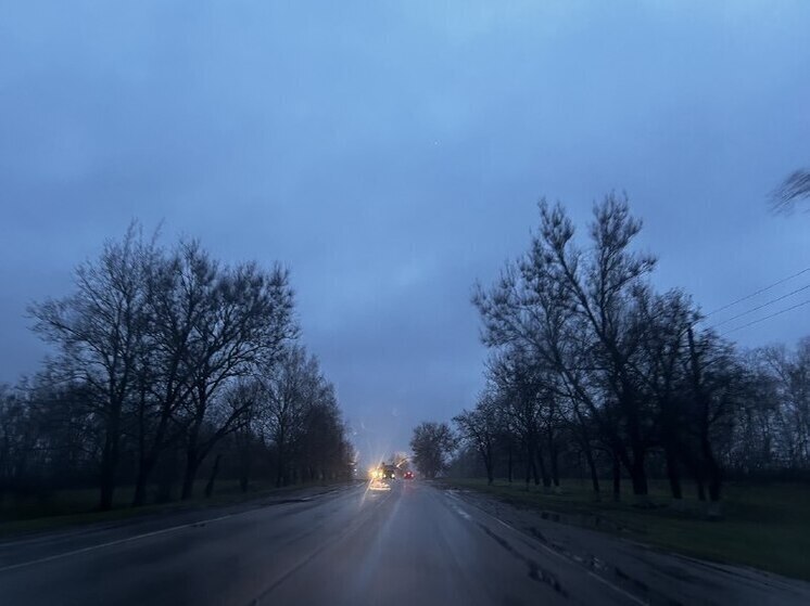 Белгородцам напомнили, как безопасно передвигаться на автомобиле по мокрой дороге