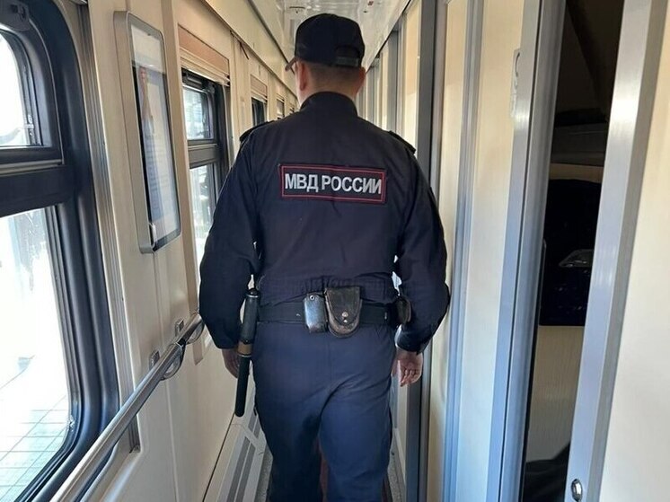 Забайкалец украл у подростка iPhone в поезде «Владивосток – Москва»