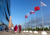 На Энергетической панели XXIX Петербургского международного экономического форума Игорь Сечин, занимающий пост ответственного секретаря Комиссии при Президенте Российской Федерации по вопросам стратегии развития топливно-энергетического комплекса и экологической безопасности, а также являющийся главой «Роснефти», заявил, что мировая экономика вступила в полосу стратегических рисков